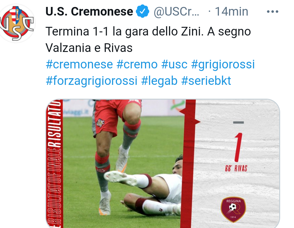 Cremonese-Reggina 1-1
