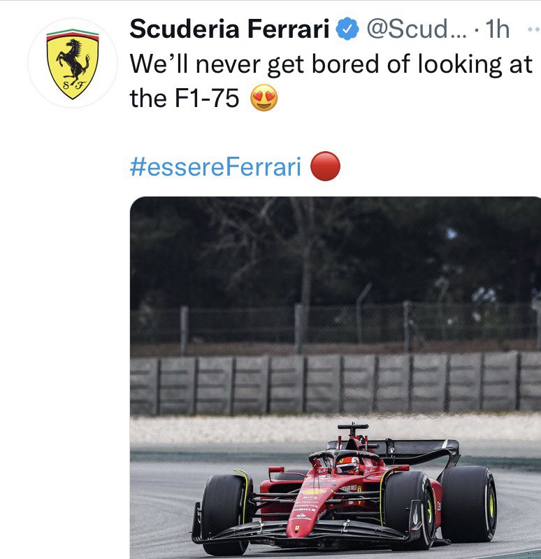 Ferrari Mercedes sospensioni